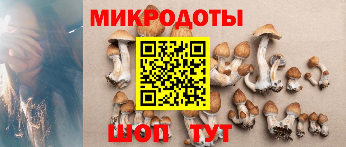 Псилоцибиновые грибы Psilocybine cubensis  хочу наркоту  Петропавловск-Камчатский  Вход с VPN 